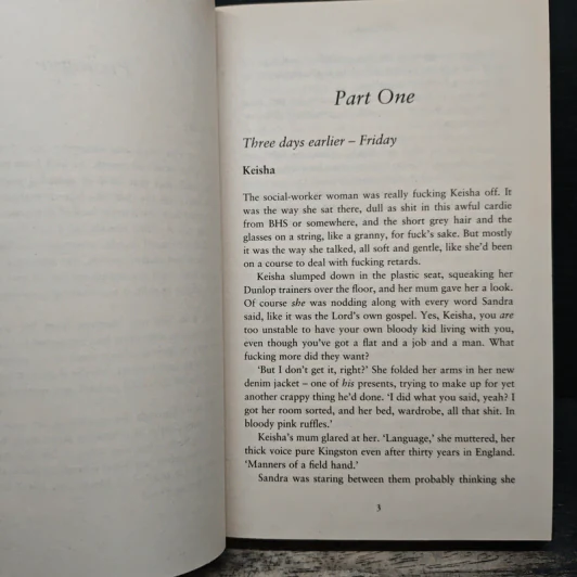 The Fall - Claire McGowan รูปที่ 7