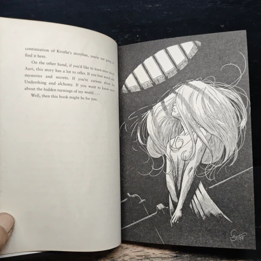 The Slow Regard of Silent Things - Patrick Rothfuss รูปที่ 8