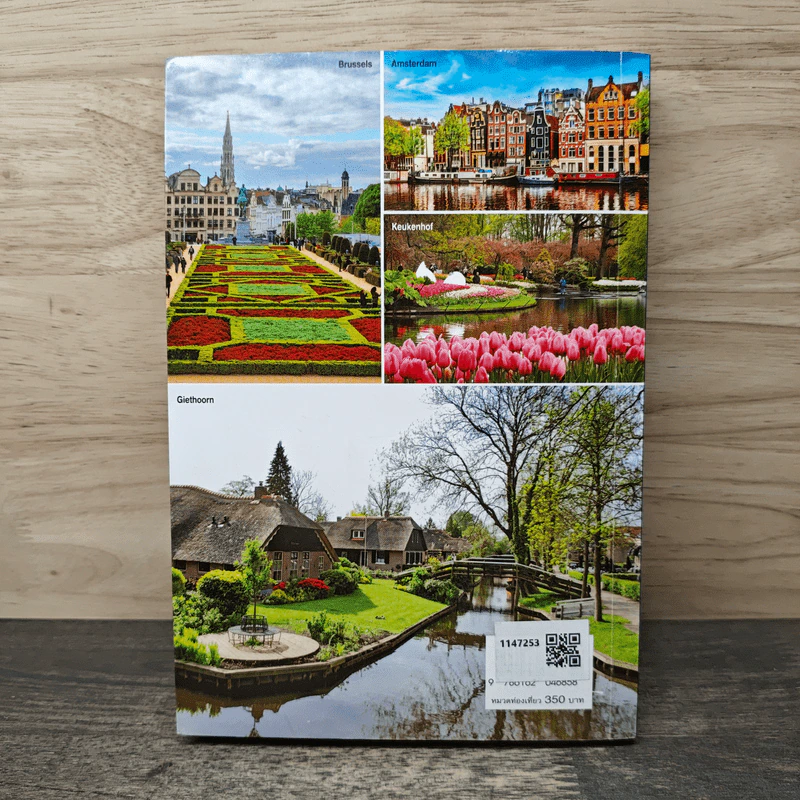Netherlands เที่ยวเนเธอร์แลนด์ แดนกังหันลม ชมทุ่งทิวลิป - DPLUS GUIDE รูปที่ 5