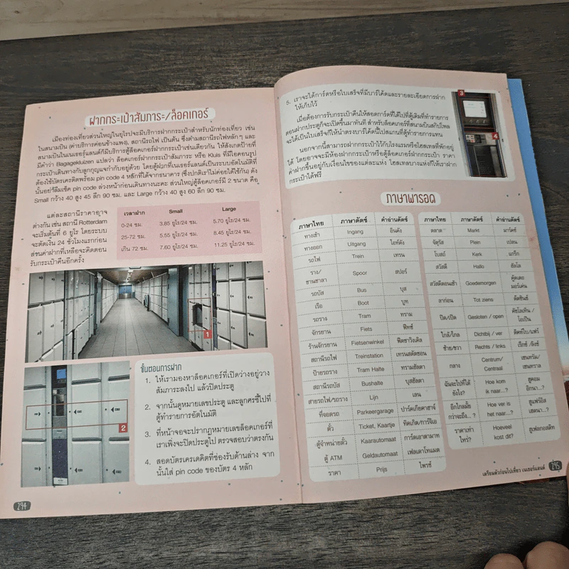 Netherlands เที่ยวเนเธอร์แลนด์ แดนกังหันลม ชมทุ่งทิวลิป - DPLUS GUIDE รูปที่ 8