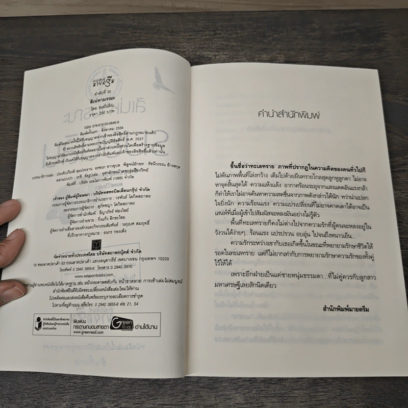 สิเน่หามรณะ - รมย์นลิน รูปที่ 6