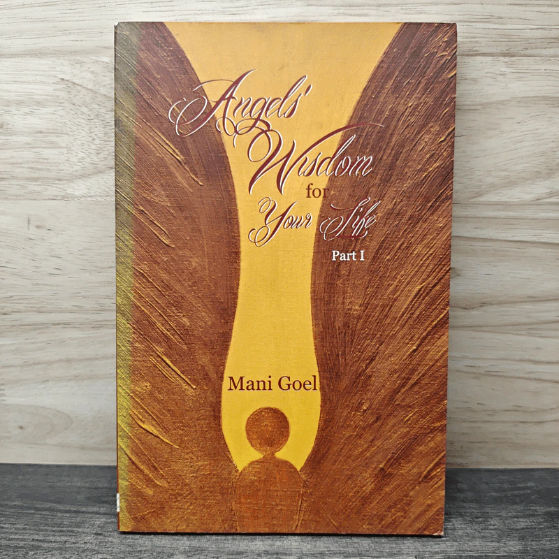 Angels' Wisdom for Your Life: Part 1 - Mani Goel รูปที่ 1