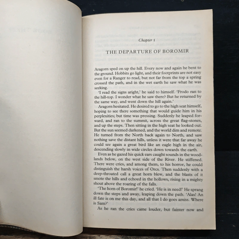 The Two Towers - J.R.R. Tolkien รูปที่ 10