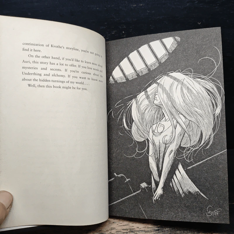 The Slow Regard of Silent Things - Patrick Rothfuss รูปที่ 8