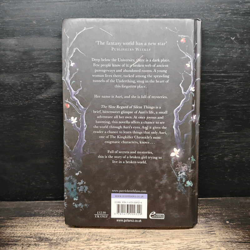 The Slow Regard of Silent Things - Patrick Rothfuss รูปที่ 2
