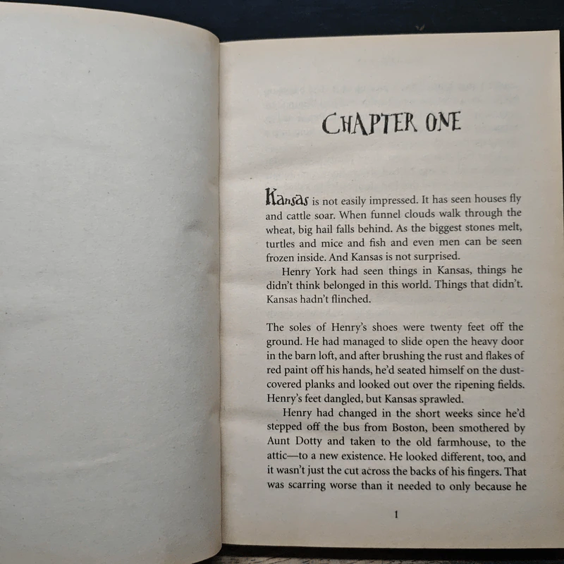 Dandelion Fire - N. D. Wilson รูปที่ 7