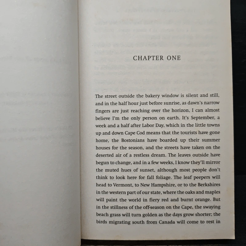 The Sweetness of Forgetting - Kristin Harmel รูปที่ 7