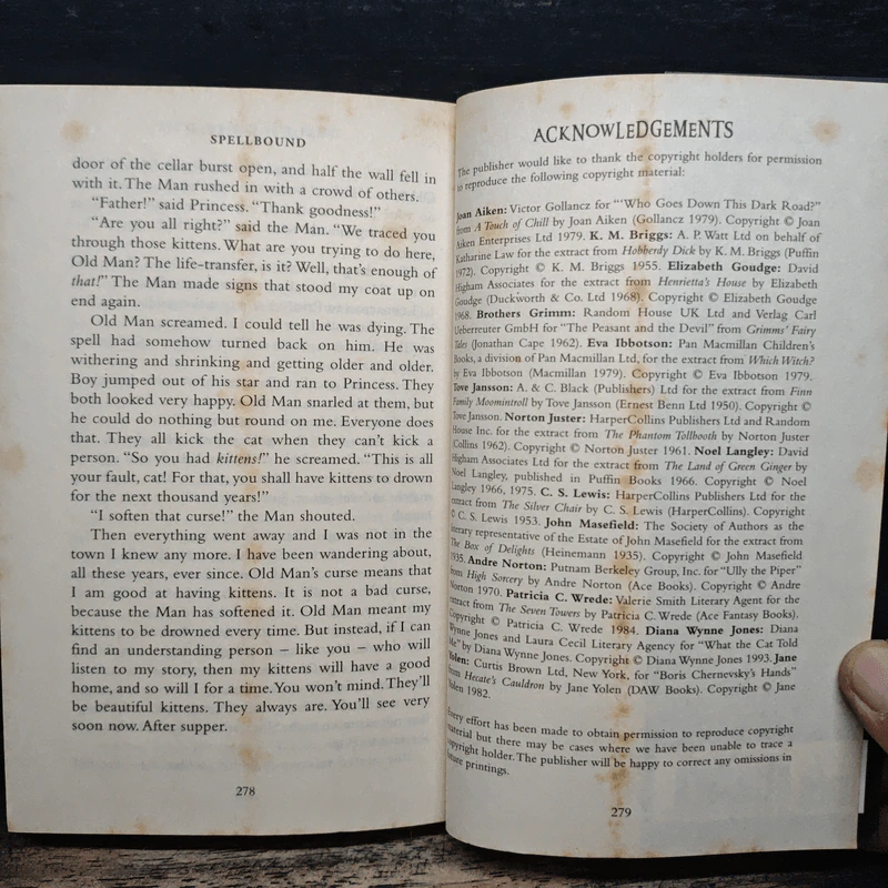 Spellbound - Diana Wynne Jones รูปที่ 9