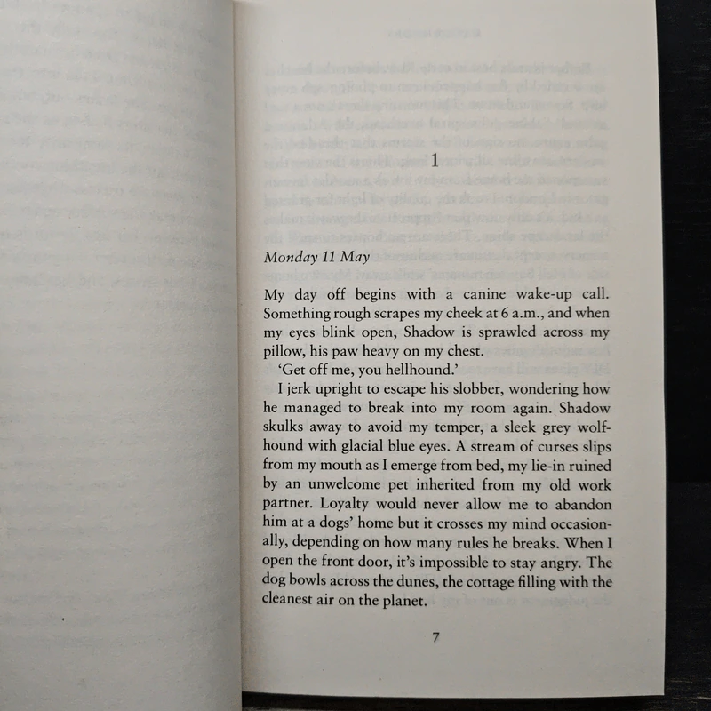 Ruin Beach - Kate Rhodes รูปที่ 7