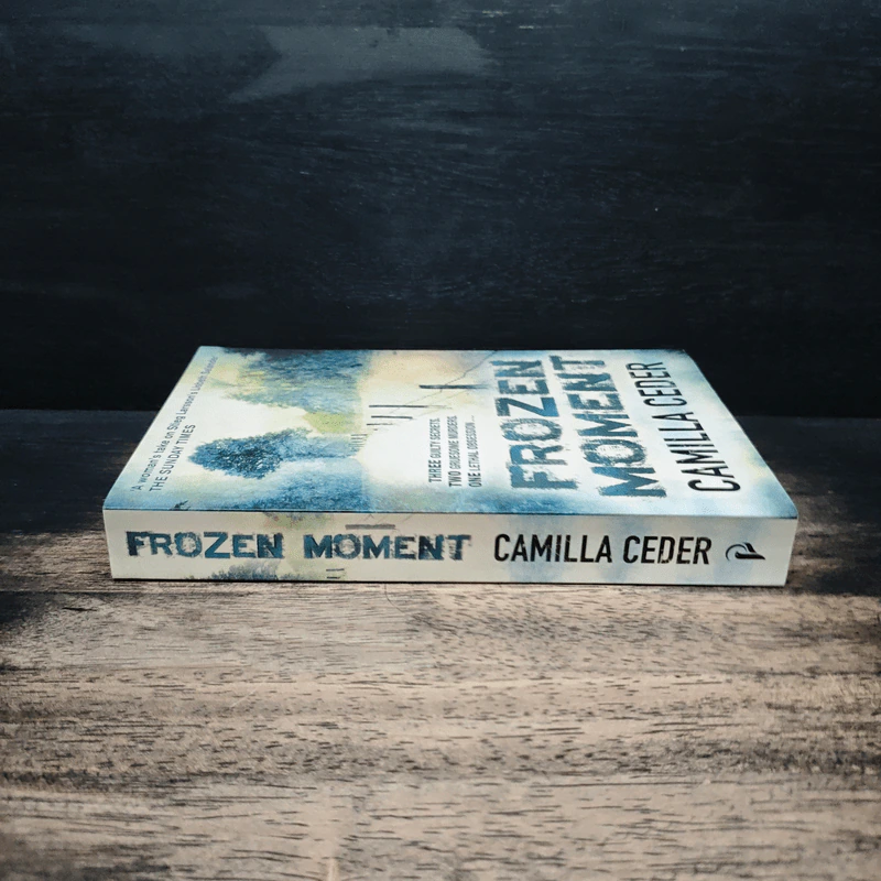 Frozen Moment - Camilla Ceder รูปที่ 3