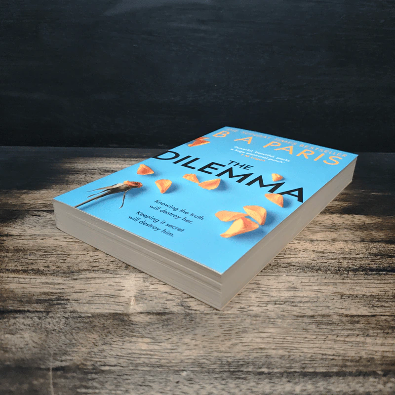 The Dilemma - B.A. Paris รูปที่ 4