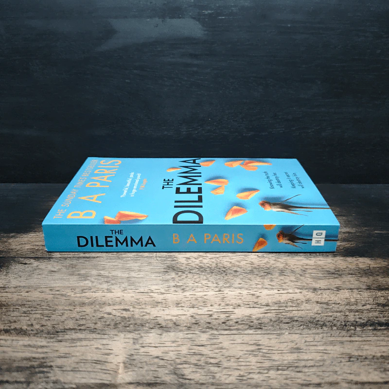 The Dilemma - B.A. Paris รูปที่ 3