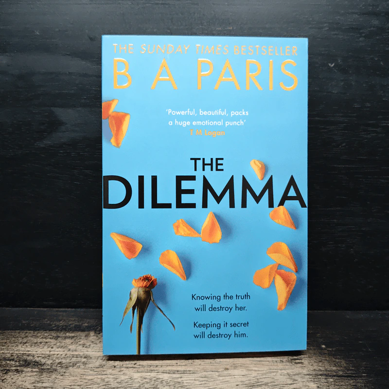 The Dilemma - B.A. Paris รูปที่ 1