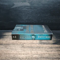 Delirious - Daniel Palmer รูปที่ 3