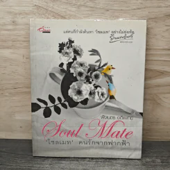 Soul Mate โซลเมท คนรักจากฟากฟ้า รูปที่ 1