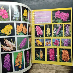 ความสุข ฉบับ กล้วยไม้ไทย THAI ORCHIDS MAGAZINE รูปที่ 9