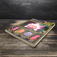 ความสุข ฉบับ กล้วยไม้ไทย THAI ORCHIDS MAGAZINE รูปที่ 4