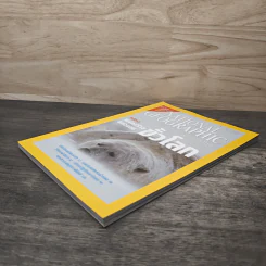 National Geographic ก.พ.2547 หมีขาว พยัคฆ์ร้ายแห่งแดนขั้วโลก รูปที่ 3