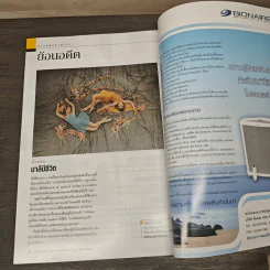 National Geographic ก.พ.2547 หมีขาว พยัคฆ์ร้ายแห่งแดนขั้วโลก รูปที่ 8