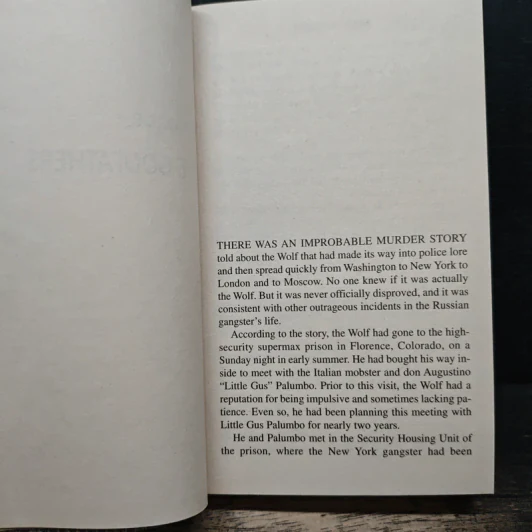The Big Bad Wolf - James Patterson รูปที่ 7