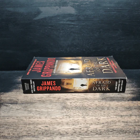 Afraid of the Dark - James Grippando รูปที่ 3