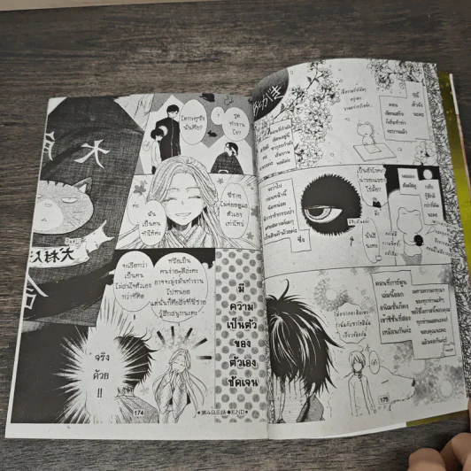 ตำนานประหลาดสุนัขทั้งแปดแห่งบูรพาทิศ เล่ม 13 รูปที่ 8