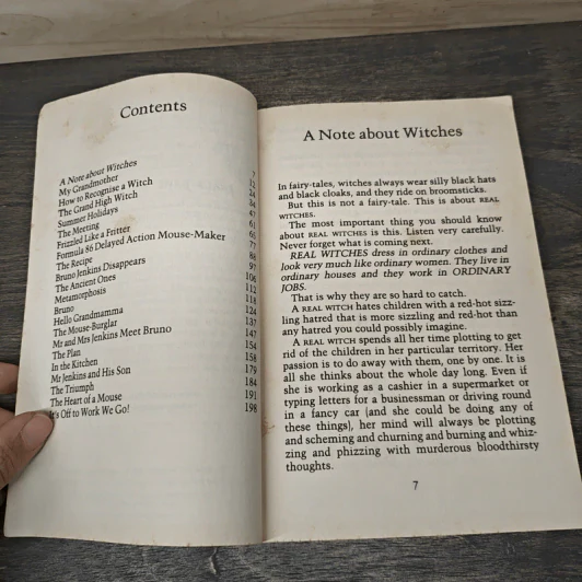The Witches - Roald Dahl รูปที่ 7