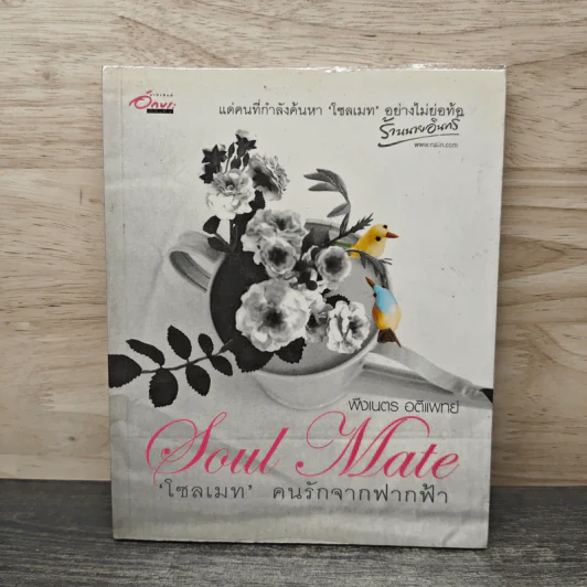 Soul Mate โซลเมท คนรักจากฟากฟ้า รูปที่ 1