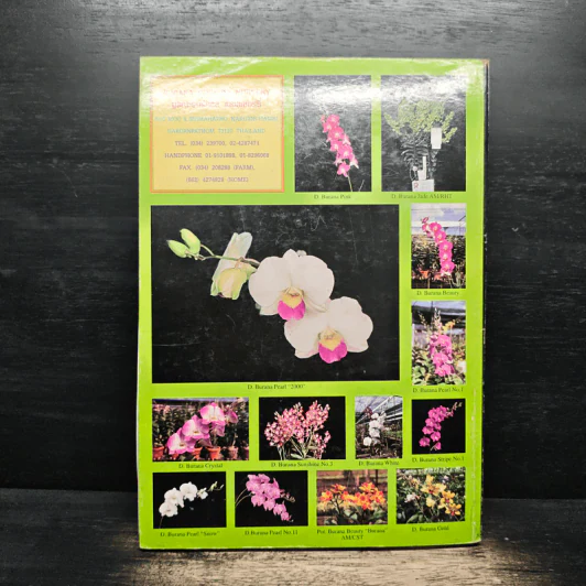 ความสุข ฉบับ กล้วยไม้ไทย THAI ORCHIDS MAGAZINE รูปที่ 2