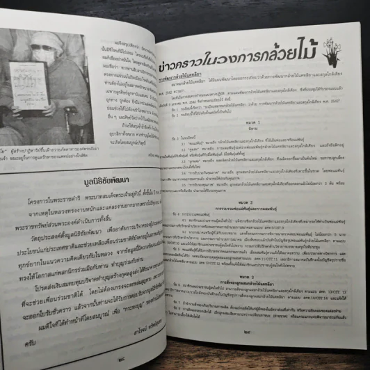 ความสุข ฉบับ กล้วยไม้ไทย THAI ORCHIDS MAGAZINE รูปที่ 8