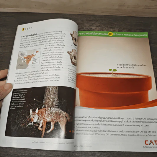 National Geographic ฉบับที่ 109 สิงหาคม 2553 บุโรพุทโธ พุทธสถานกลางแดนมุสลิม รูปที่ 7