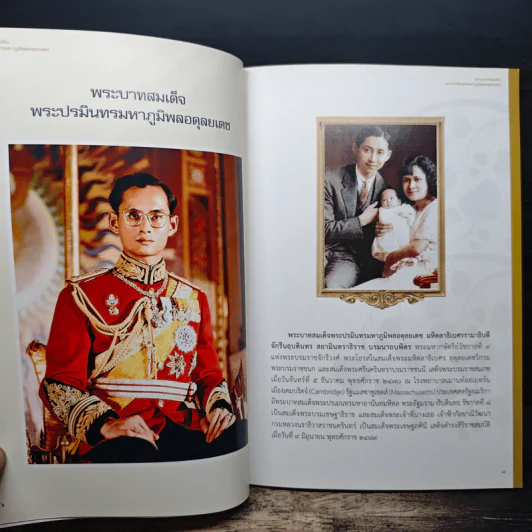 พระบาทสมเด็จพระปรมินทรมหาภูมิพลอดุลยเดช รูปที่ 7