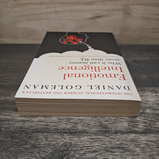 Emotional Intelligence - Daniel Goleman รูปที่ 4