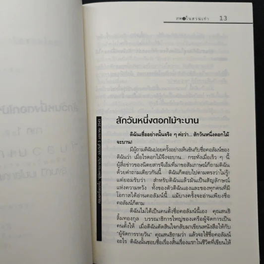 สักวันหนึ่งดอกไม้จะบาน - รุ่งมณี เมฆโสภณ รูปที่ 9