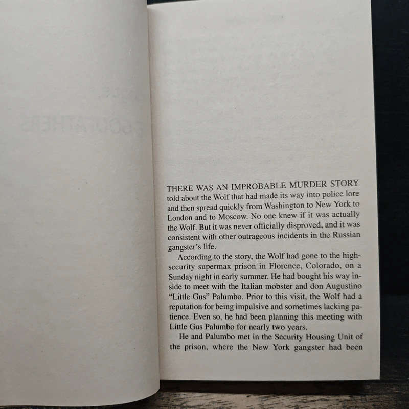 The Big Bad Wolf - James Patterson รูปที่ 7