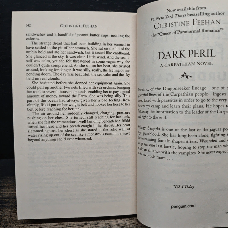 Shadow Game - Christine Feehan รูปที่ 8