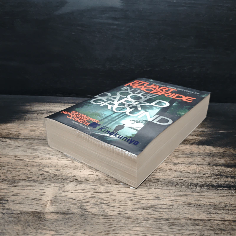 In the Cold Dark Ground - Stuart MacBride รูปที่ 4