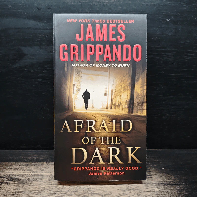 Afraid of the Dark - James Grippando รูปที่ 1
