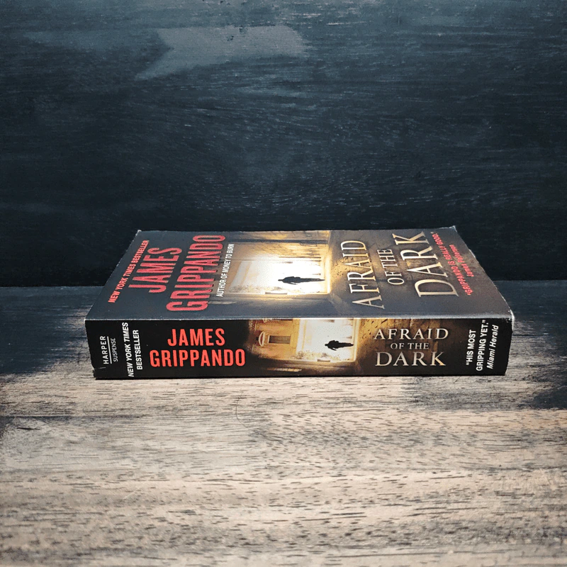Afraid of the Dark - James Grippando รูปที่ 3