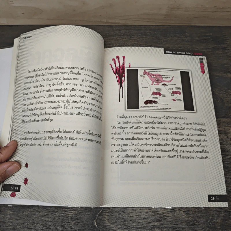 How to Living Dead Zombie คู่มือสู้ซอมบี้ - ทีมงานฮิ รูปที่ 7