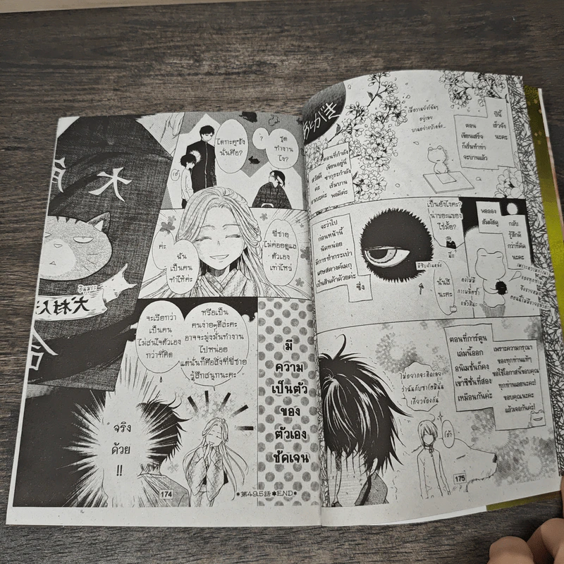 ตำนานประหลาดสุนัขทั้งแปดแห่งบูรพาทิศ เล่ม 13 รูปที่ 8