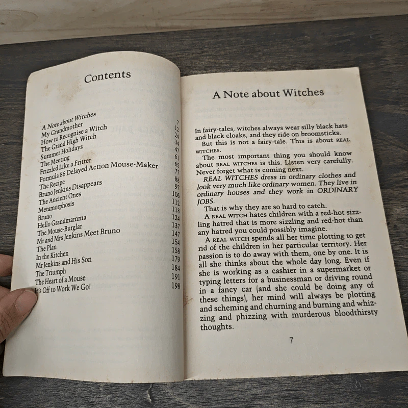 The Witches - Roald Dahl รูปที่ 7