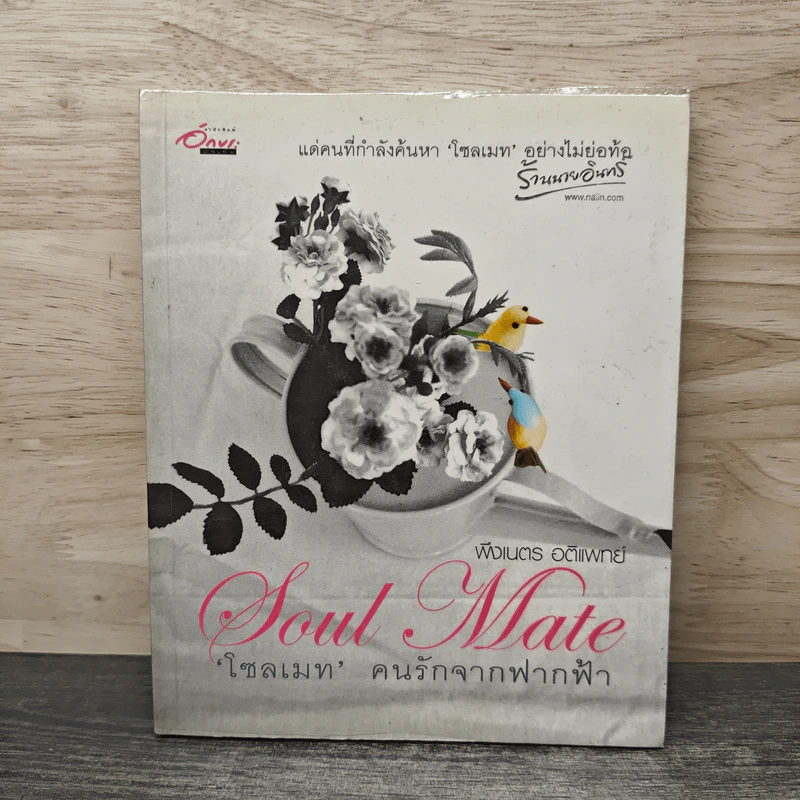 Soul Mate โซลเมท คนรักจากฟากฟ้า รูปที่ 1