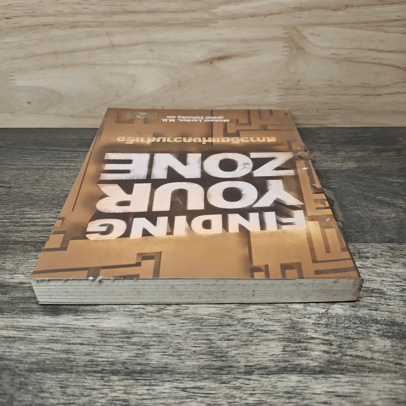 Finding Your Zone สภาวจิตแห่งความสำเร็จ - Michael Lardon,M.D. รูปที่ 4