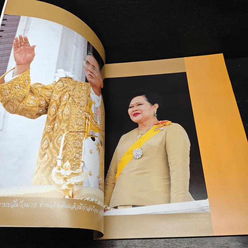 ภูมิพลังแห่งแผ่นดิน พระราชพิธีฉลองสิริราชสมบัติครบ 60 ปี รูปที่ 7