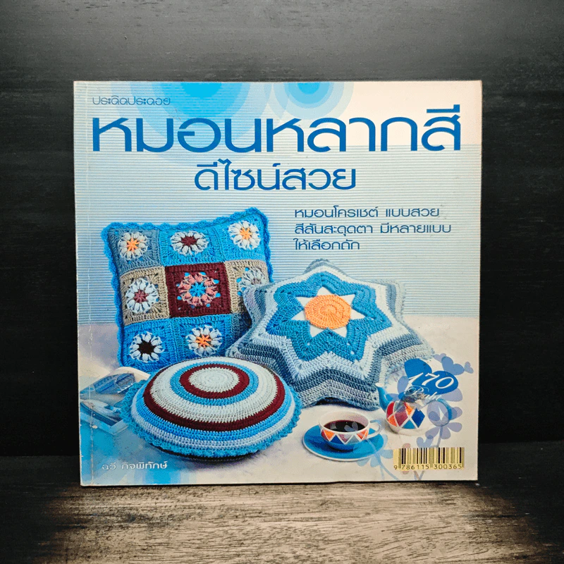 หมอนหลากสี ดีไซน์สวย หมอนโครเชต์ - ฉวี กิจพิทักษ์ รูปที่ 1