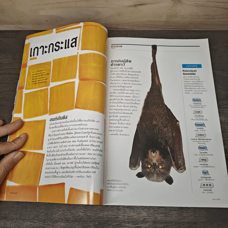National Geographic ฉบับที่ 128 มี.ค.2555 แกะรอยผลงานปริศนาของดาวินชี รูปที่ 7