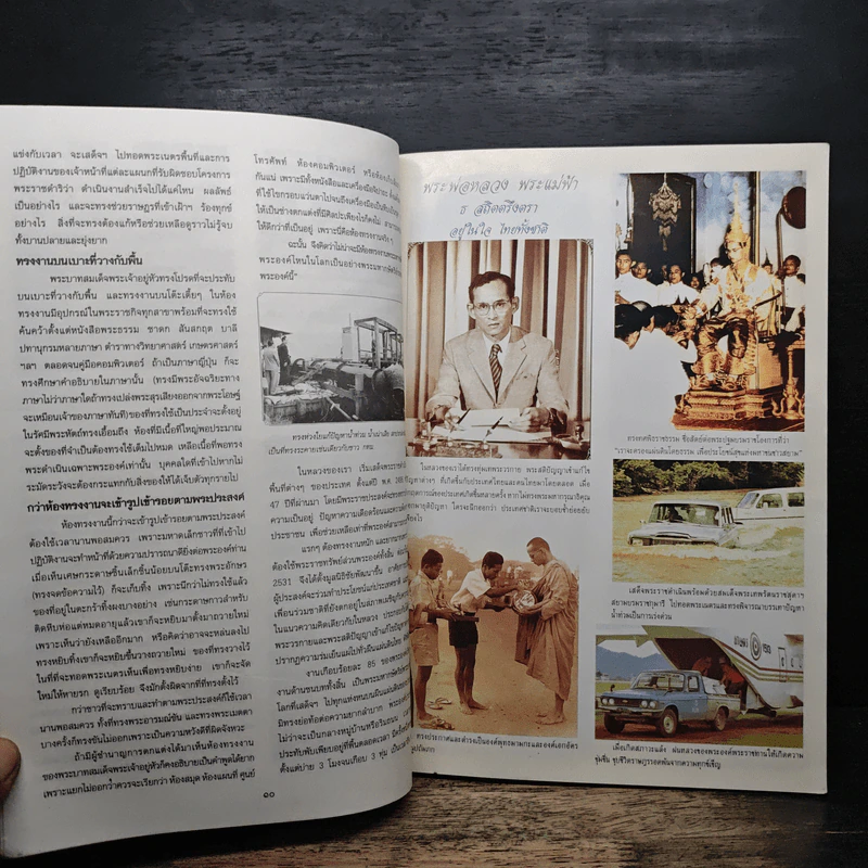 ความสุข ฉบับ กล้วยไม้ไทย THAI ORCHIDS MAGAZINE รูปที่ 7