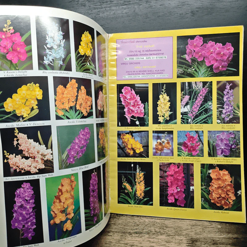 ความสุข ฉบับ กล้วยไม้ไทย THAI ORCHIDS MAGAZINE รูปที่ 9