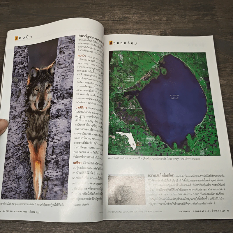 National Geographic ฉบับที่ 80 มี.ค.2551 เจาะโลกไขกำเนิดจักรวาล รูปที่ 6